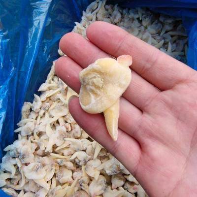 連云港農(nóng)產(chǎn)品市場 供應(yīng)、價格與網(wǎng)上交易平臺全景分析