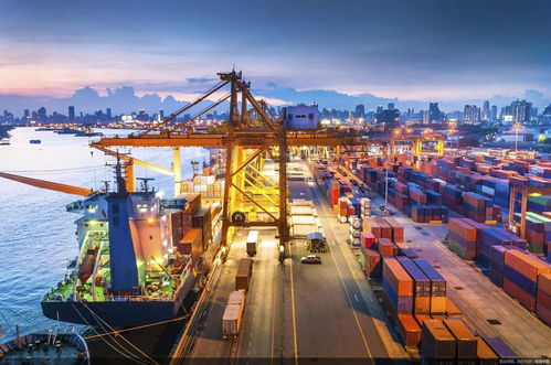 東南亞電商掘金指南 Lazada與Shopee選品策略與國(guó)營(yíng)貿(mào)易貨物進(jìn)出口管理